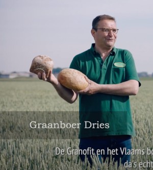 Kroonbakker - Vlaamse baktarwe - kortere keten